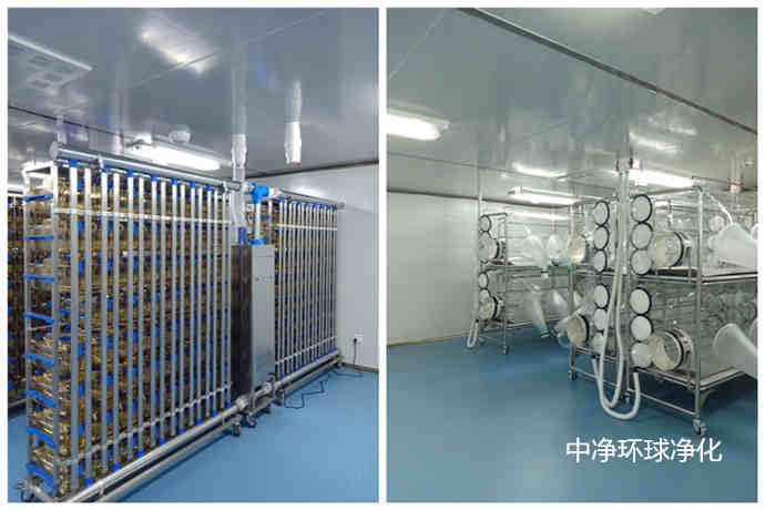 潔凈動(dòng)物房設(shè)計(jì)建造