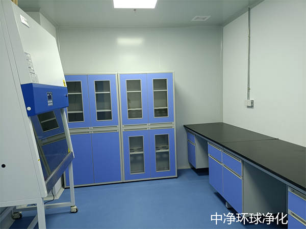 GMP無(wú)塵車(chē)間 GMP無(wú)塵車(chē)間