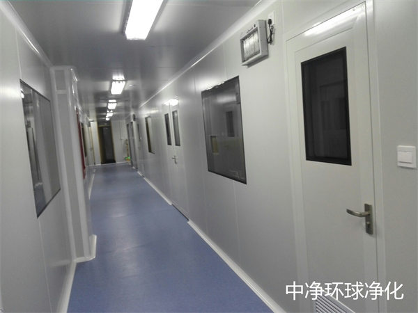 無菌制劑潔凈車間 無菌制劑潔凈車間